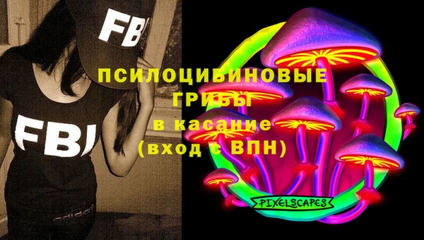 спайс Арсеньев