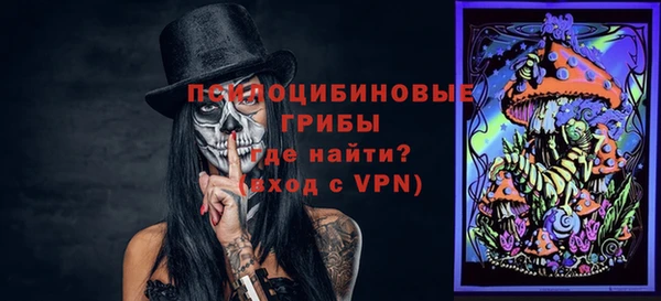 спайс Арсеньев