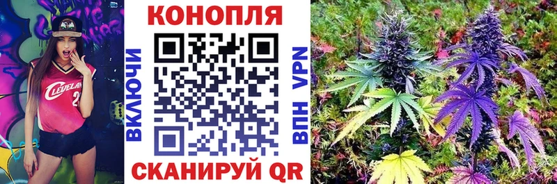 Конопля план  купить закладку  Красноуфимск 